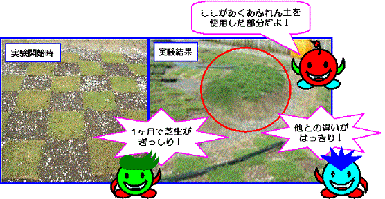 芝生の育成実験の結果、実験開始時と比べてあくあふれん土を使用した部分は一ヶ月で芝生がぎっしりと生え、他との違いがはっきりしているのがわかるのを赤と青と緑の丸い三体のキャラクターが説明している比較写真